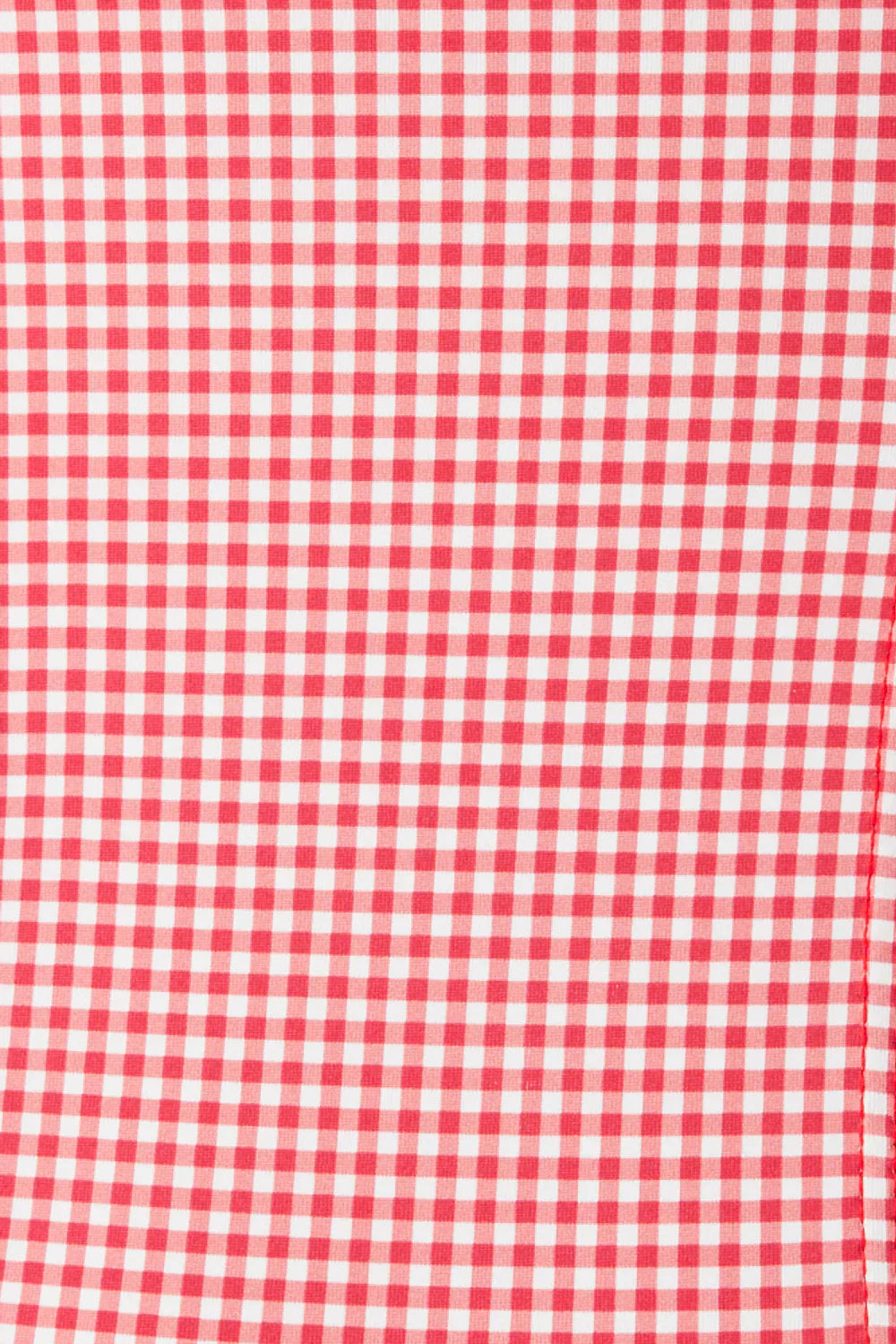 Cruise Monokini One Piece Swimsuit - Ladybug Gingham