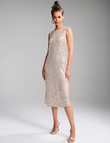 Sequin Mesh Midi Dress